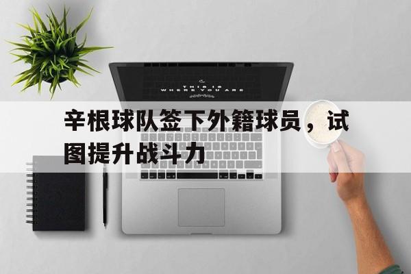 辛根球队签下外籍球员，试图提升战斗力